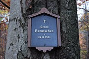 Čeština: Tabulka na stromě v místě smrti Ernsta Horáčka, která nastala 10. listopadu 1951.