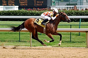 Kůň se žokejem při závodě Kentucky Derby