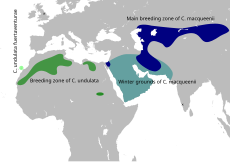 Mapa Houbary.svg