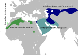 Répartition géographique et migratoire