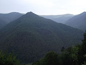 Південно-східні відноги хребта Красна біля селища Усть-Чорна