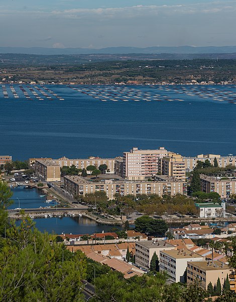 File:Ile de Thau, Sète, Hérault 03.jpg