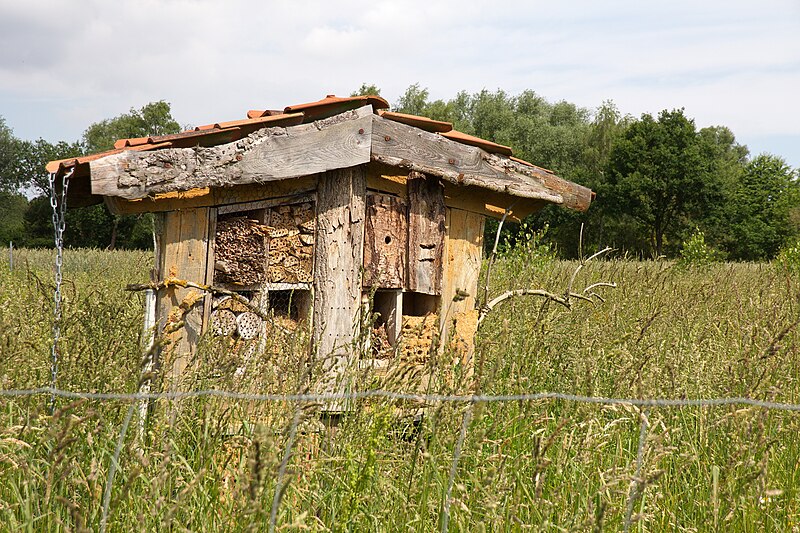 File:Insektenhotel im Landschaftsschutzgebiet Brelinger Berg IMG 3074.jpg