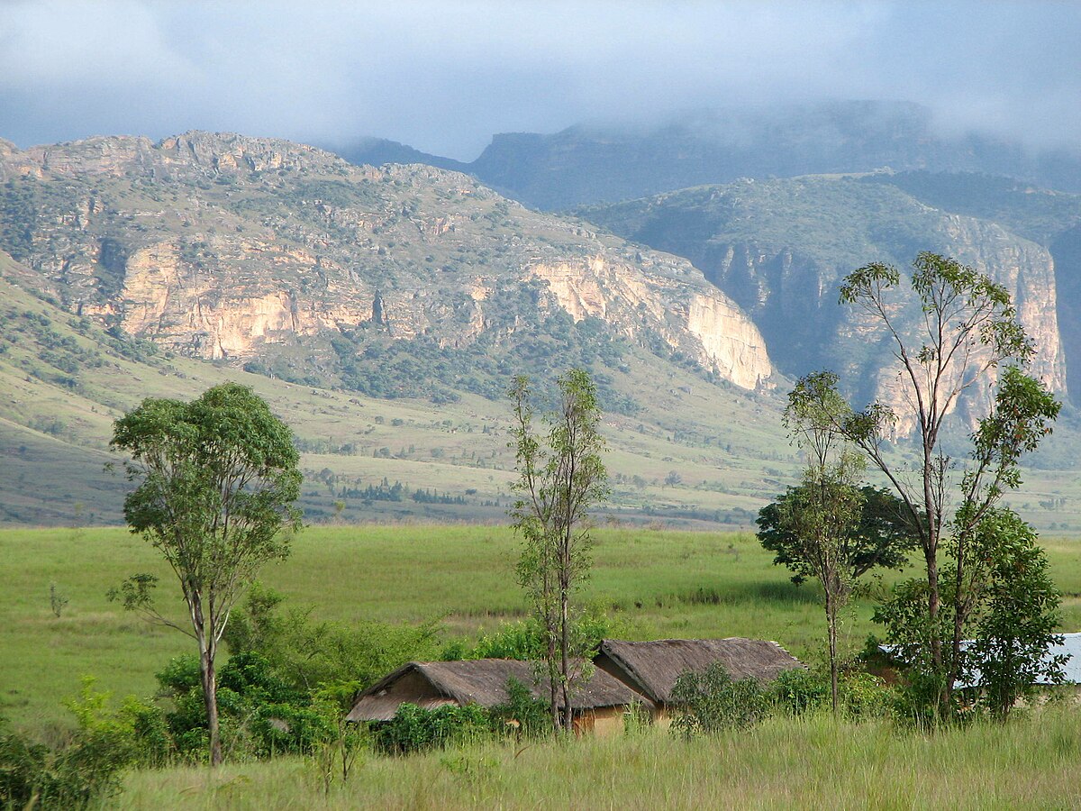 Madagascar subhumid forests - Wikipedia