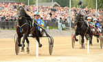 Järvsöfaks vinner Svenskt Mästerskap för tionde och sista gången i kärriären, 2009.