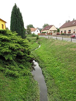 Jalový potok v Přistoupimi