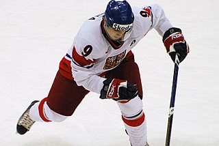 <span class="mw-page-title-main">Jan Káňa (ice hockey, born 1992)</span> Czech ice hockey player