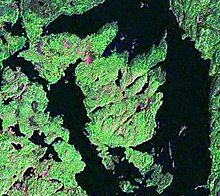 Satellite image of a portion of Lake Temagami and the surrounding landscape. The Joan Peninsula is in the middle. Joan Peninsula.jpg