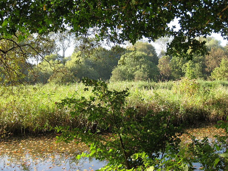 File:Joodse Begraafplaats Zeeburg.JPG