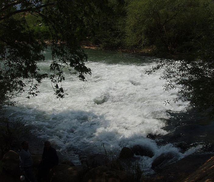 صورة:Jordan river 2.JPG