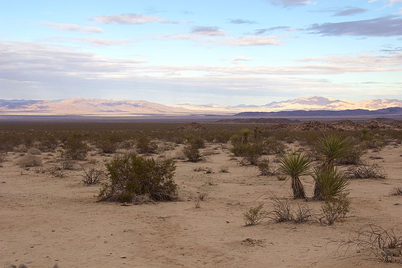 File:Joshua Tree National Park 2015 021.jpg