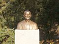 位在貝爾格萊德植物園（英語：Jevremovac）門口的約瑟夫·潘契奇半身紀念像。