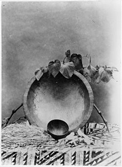 Tanoa bowl on its side, coconut shell drinking cup (ipu 'ava), leaves of the kava plant and strainer Kava bowl and cup - Samoa 1900 - AJ Tattersall.jpg