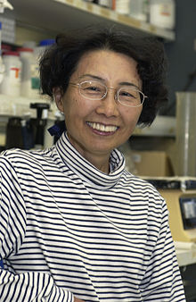 Keiko Ozato, dr. Sc.
