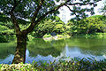 小石川後楽園 Koishikawa Kōrakuen Garden