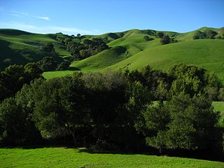 <span class="mw-page-title-main">Briones Regional Park</span>