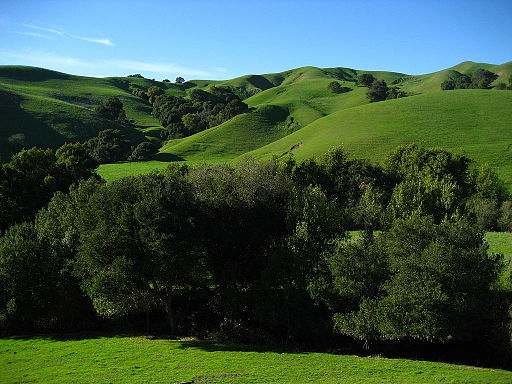 Park region. Зелёные холмы Холмская. Зеленые холмы Калифорнии. Green Hills зеленые холмы Ирландии. Сонома Калифорния холмы.