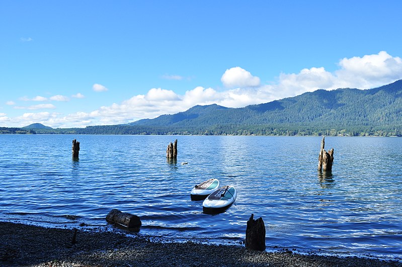 File:Lake Quinault from beach at Lake Quinault Lodge 01.jpg