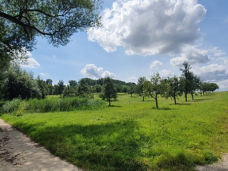 Landschaftsschutzgebiet Bruch Gondelsheim