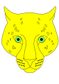 Leopard face, drawn from life