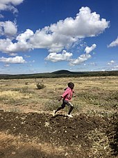 A boy running in the fields of Narok Little running boy in the Narok's fields (Kenya).jpg