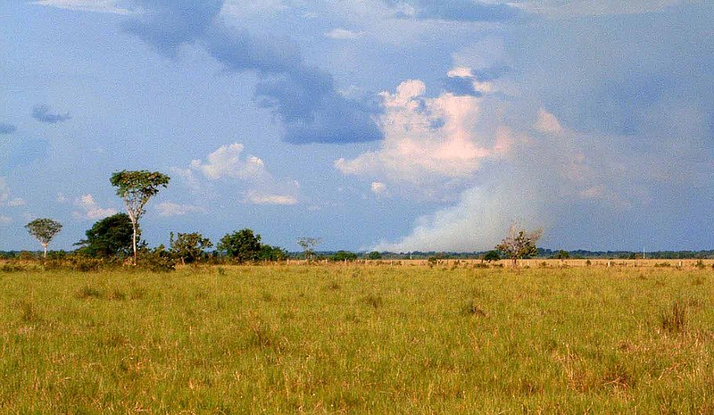 File:Los llanos by Puerto Gaitan.jpg