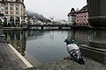 Lucerne, November, 2018-2.jpg