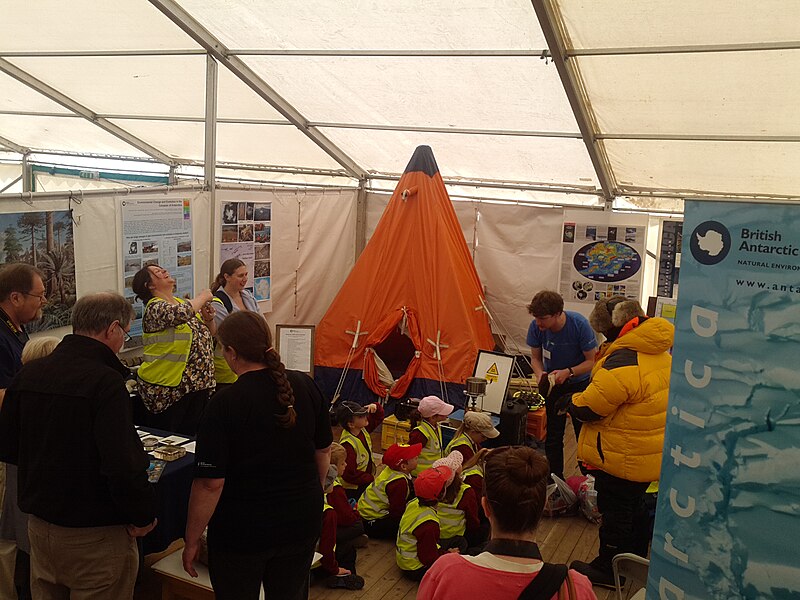 File:Lyme Regis Fossil Festival 29.jpg