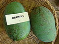 Mangga Brooks Asit fs8.jpg