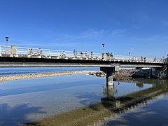 Puente Río Cuale, Puerto Vallarta