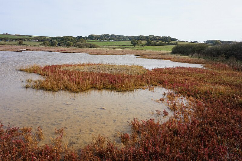 File:Marsh in Thorness Bay, Isle of Wight 1.jpg