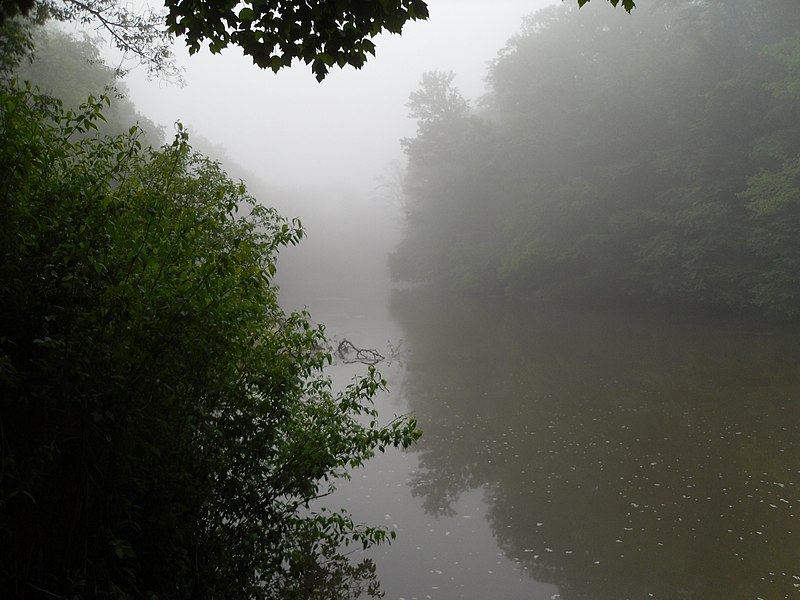 File:McGees Mills Covered Bridge - Pennsylvania (4656196984).jpg