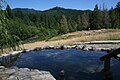 Meadow pool, looking toward meadow