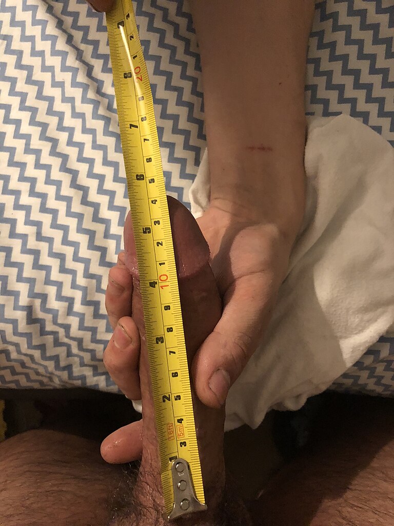 my wife measured penis