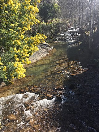 <span class="mw-page-title-main">Barxas</span> River in Iberian peninsula