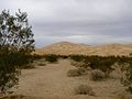 Mojave preserve kelso dunes.jpg