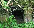 Stone lined outflow tunnel from Montfode House.