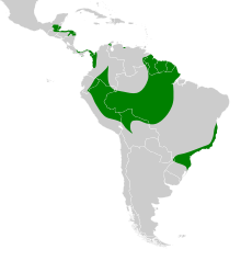 Morphnus guianensis map.svg