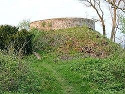 Motte on Craig Ruperra - geograph.org.uk - 2370401.jpg