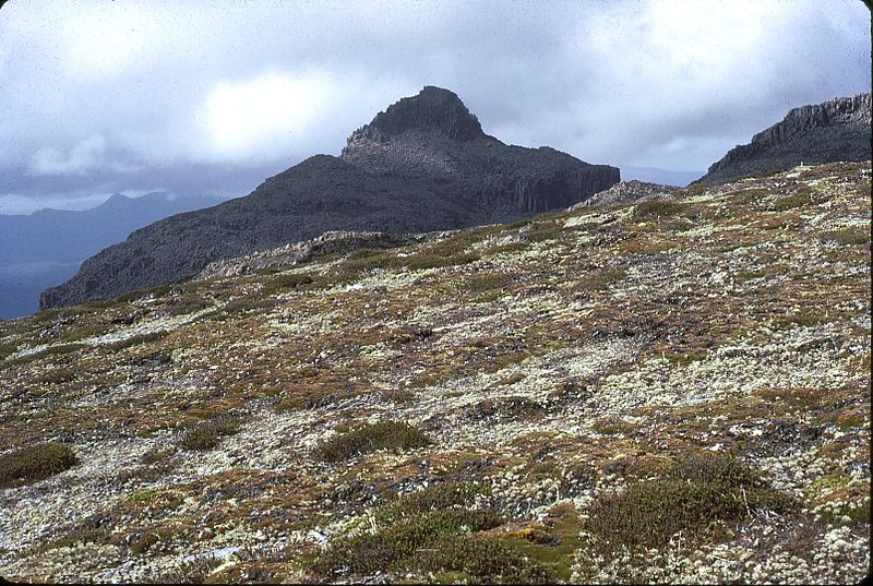 File:Mount Anne area - Mt Anne.jpg