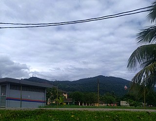 <span class="mw-page-title-main">Mount Tampin</span> Mountain in Negeri Sembilan, Malaysia