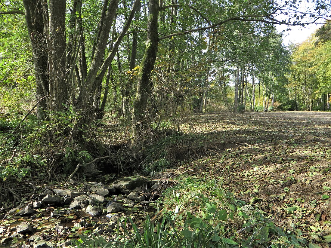 Naturschutzgebiet Wesebachtal