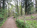 Naturschutzgebiet Höhscheider Bachtal