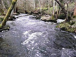 Nant Bachawy - geograph.org.uk - 695312.jpg