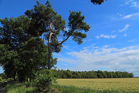 Naturschutzgebiet Im Teichbruch 02