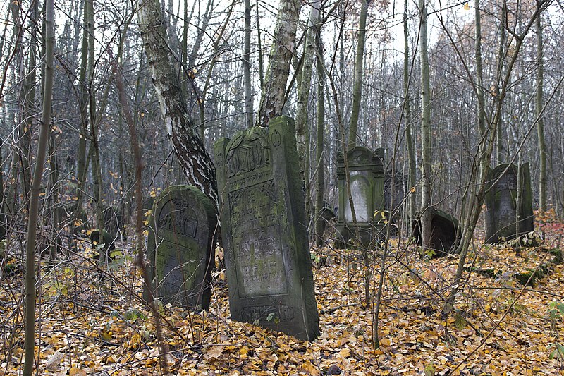 File:New Jewish Cementery(Lodz) 09 (js).jpg