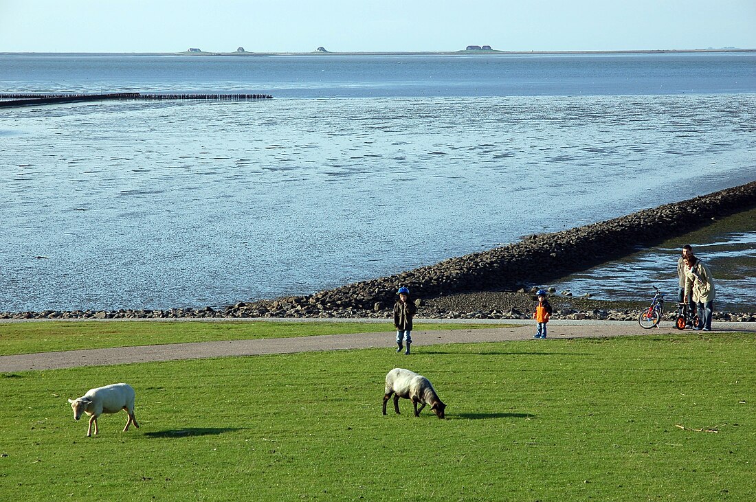 Nationalpark Schleswig-Holsteinisches Wattenmeer