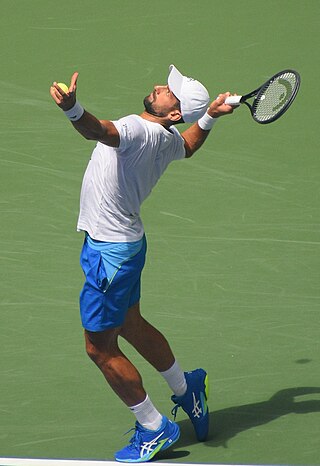 <span class="mw-page-title-main">2024 Novak Djokovic tennis season</span>