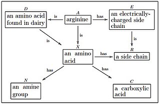 Olog mathematical framework for knowledge representation