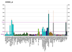 PBB GE GGH 203560, fs.png'de